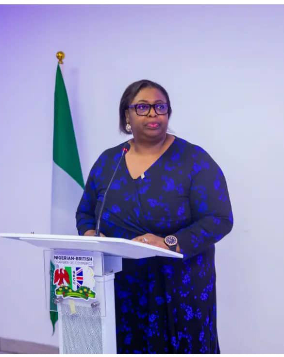 NBCC
Our Team - Dr. Ebere Njoku,
Director General